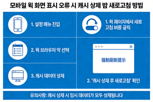 모바일 웹 화면 표시 오류 시 캐시 삭제 및 새로고침 방법